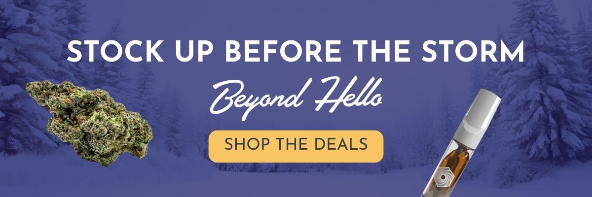 Stock up before the storm at beyond hello! Shop the deals